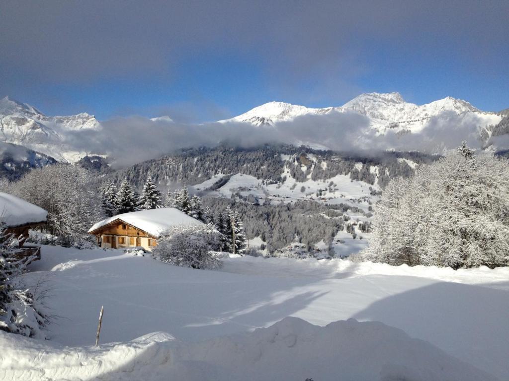 Le Caprice Des Neiges Hotel Кре-Волан Екстериор снимка